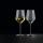 Nachtmann Aperitivo Universalglas 490 ml 2er Set