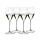 Riedel Performance Champagnerglas Kauf 4 Zahl 3