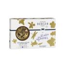 Maison Berger Autoduft Lolita Lempicka Mattgold