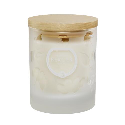 Maison Berger Duftkerze Aroma Happy Fraîcheur Aquatique 180 g